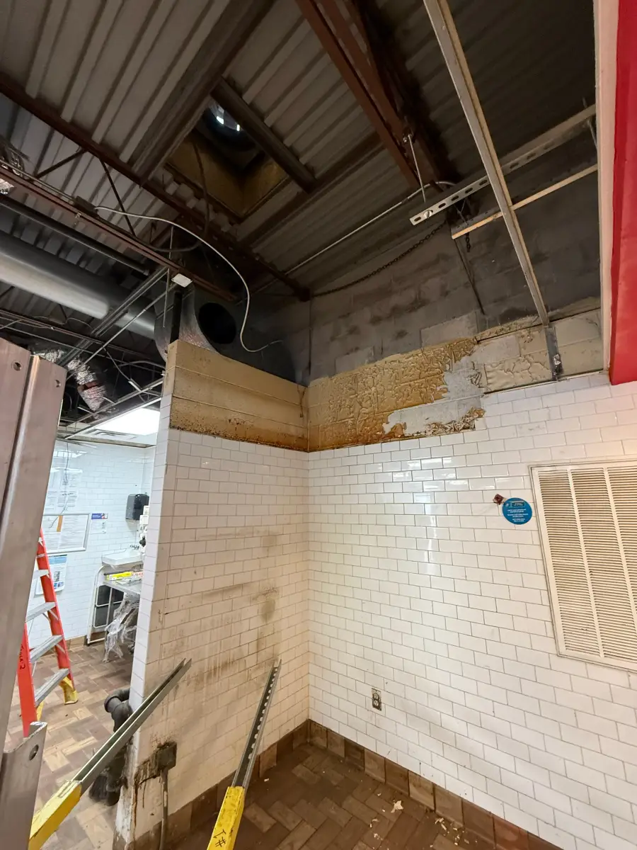 Project gallery image